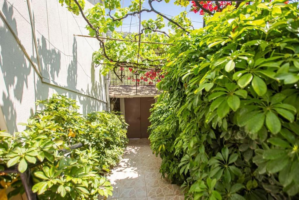 Blue Maraci 2 - Sea View, Kitchen, Beach Access Himare Exterior foto