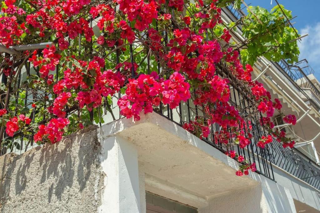Blue Maraci 2 - Sea View, Kitchen, Beach Access Himare Exterior foto
